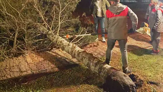 Melikgazi Belediyesi ekipleri rüzgar mesaisinde