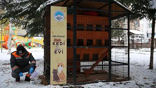 Melikgazi Belediyesi kar yağışı sonrası sokak hayvanlarını unutmadı