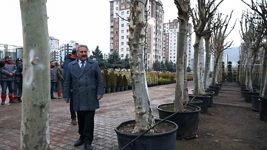 Melikgazi Belediyesi, yeni ağaçlarla nefes olmaya devam ediyor