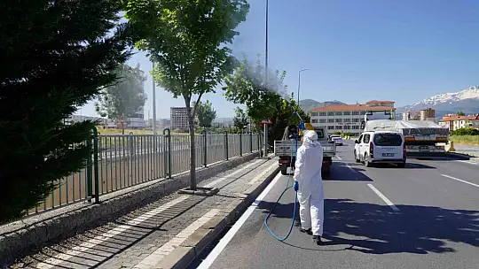 Melikgazi'de 58 mahallede ilaçlama çalışmaları devam ediyor