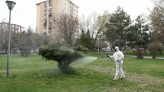 Melikgazi'de haşeresiz ve sivrisineksiz bir yaz için ilaçlama yapıldı