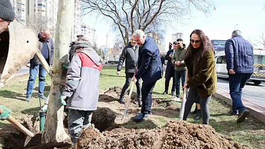 Melikgazi'de ilkbahar ağaç dikimiyle başladı