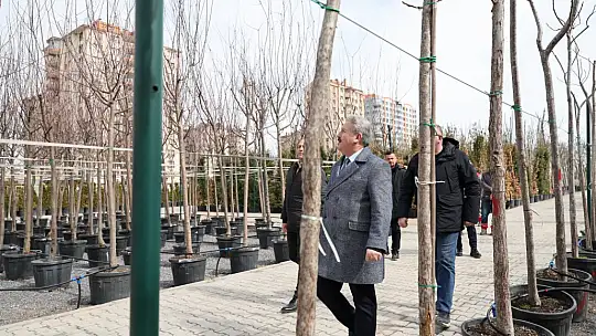 Melikgazi'de ilkbahar ağaç dikimiyle başladı