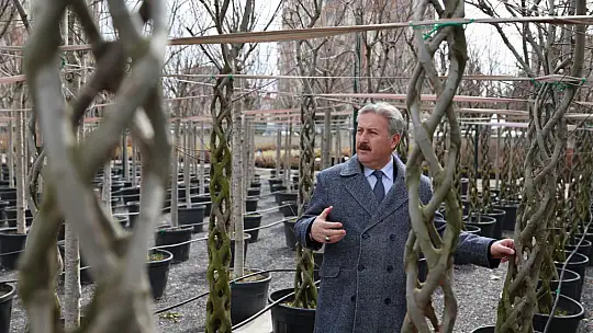 Melikgazi'de ilkbahar ağaç dikimiyle başladı