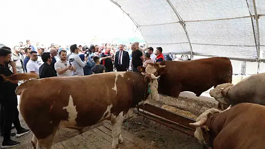 Melikgazi'de Kurban Pazar Yerleri hazır