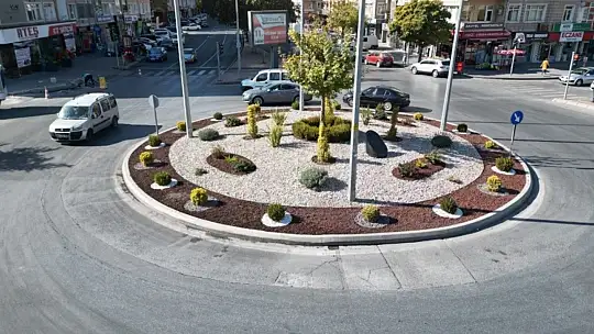 Melikgazi'de kuru peyzaj ile ilçe renklenirken tasarruf da sağlanıyor