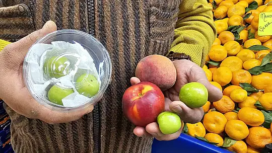 Mevsim dışı meyveler hamileler için tezgahlarda