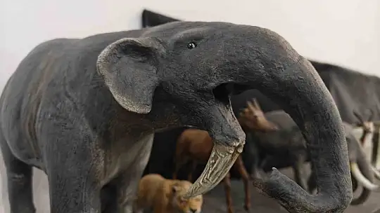 Milyon yıllık tarih minyatürleştiriliyor