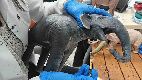 Milyon yıllık tarih minyatürleştiriliyor