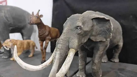 Milyon yıllık tarih minyatürleştiriliyor