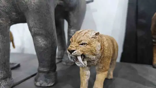 Milyon yıllık tarih minyatürleştiriliyor