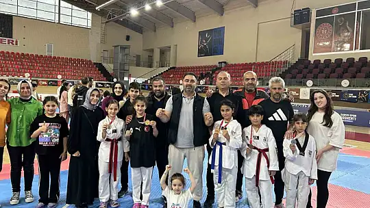 Minikler Taekwondo İl Müsabakaları yapıldı