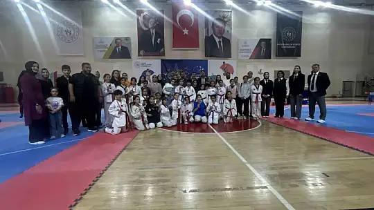 Minikler Taekwondo İl Müsabakaları yapıldı