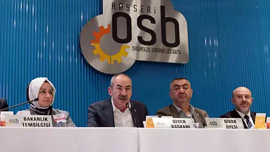 Mustafa Elitaş: 'Güneş enerjisiyle ilgili devrim niteliğinde kanunlar çıkardık'
