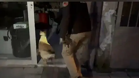 Narkotik köpeği ETA, zehir tacirlerine göz açtırmıyor