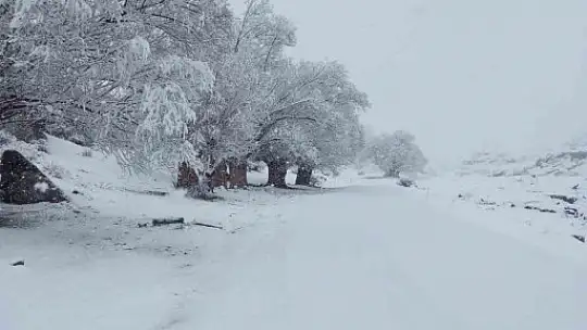 Nisan karı mahalleyi beyaza bürüdü