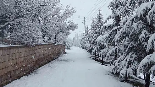 Nisan karı mahalleyi beyaza bürüdü