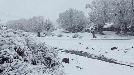 Nisan karı mahalleyi beyaza bürüdü