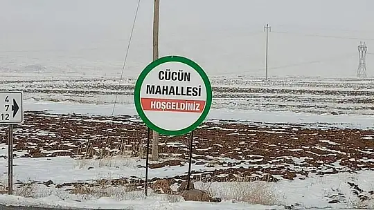 O ilçede ikinci kene vakası