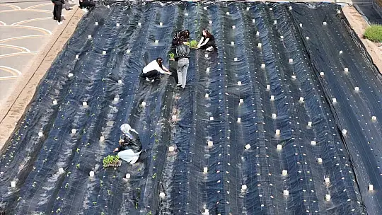 Öğrenciler doğal ürünler bahçesinde uygulamalı eğitim aldı