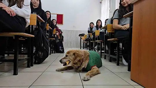 Öğrencilerin peşine takılan Fındık, okulun maskotu oldu