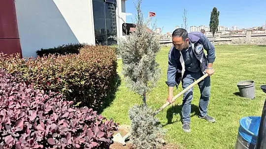 Okul bahçesi lavanta ve güllerle donatıldı