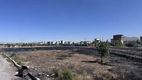 Ot yangınında 6 dönüm alan kül oldu