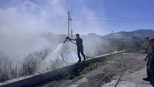Ot yangınında 6 dönüm alan kül oldu