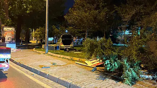 Otomobil parka daldı, ortalık savaş alanına döndü
