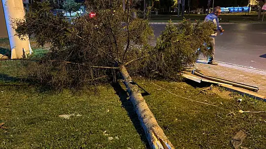 Otomobil parka daldı, ortalık savaş alanına döndü