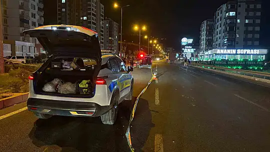 Otomobilin çarptığı yaşlı adam hayatını kaybetti