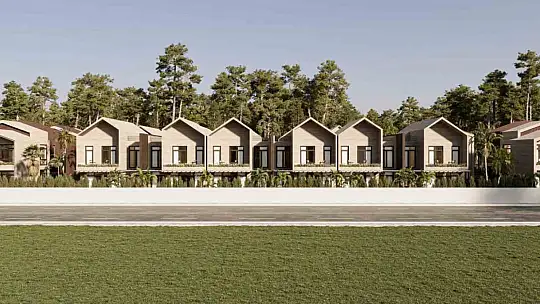 Para almadan devir can yaktı