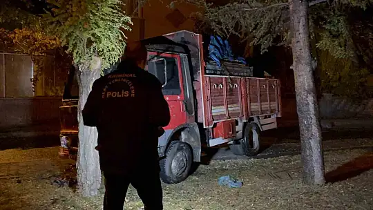 Park halinde alev alan kamyon hareket etti