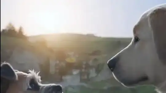 Pati Evi'nden kaçtılar, pişman olup geri döndüler