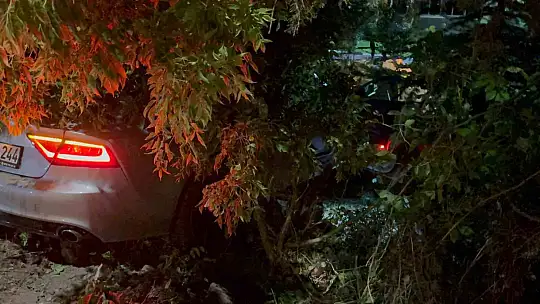 Polisi görünce kaçan alkollü sürücü fidanlığa daldı: 1 yaralı