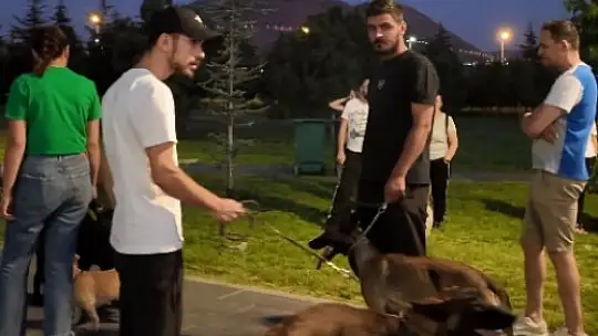 Proteo Köpek Eğitim Parkuru'na tam not