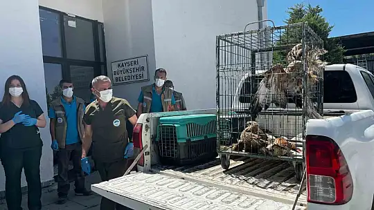 Rehabilitasyonu tamamlanan 35 yaban kuşu doğayla buluşturuldu