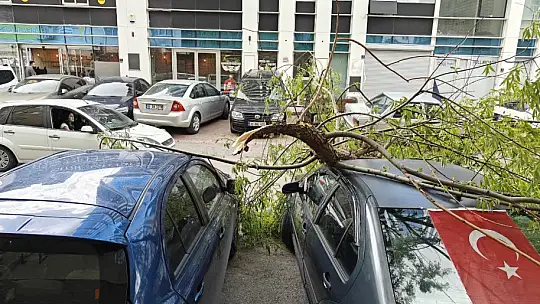 Rüzgarda kırılan ağaç dalı otomobillerin üzerine düştü
