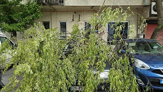Rüzgarda kırılan ağaç dalı otomobillerin üzerine düştü
