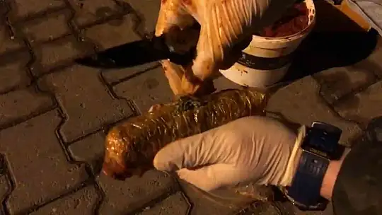 Salçanın içine zulalanmış uyuşturucu madde ele geçirildi