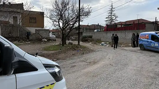 Saldırgan köpeğin resmî olmayan sahibi ortaya çıktı