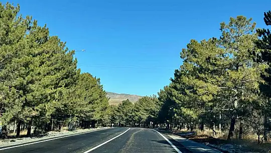 Sarımsaklı Mesire Alanı yenilenen yüzüyle hizmete hazır