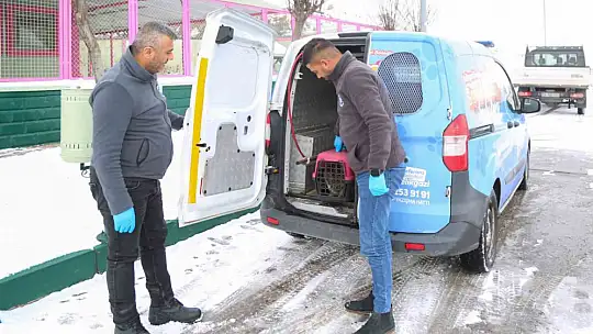 Sevimli Dost ambulansı, binlerce sokak hayvanının yardımına koştu