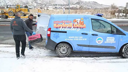 Sevimli Dost ambulansı, binlerce sokak hayvanının yardımına koştu