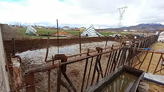 Şiddetli rüzgar ahırın çatısını uçurdu