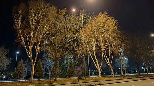 Şiddetli rüzgar, söktüğü kamelyayı bozmadan yola kondurdu