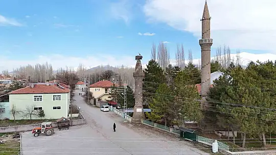 Şıhbarak mahallesinde baharın müjdecisi leylekler yuvalarına döndü