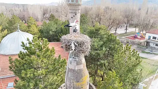 Şıhbarak mahallesinde baharın müjdecisi leylekler yuvalarına döndü