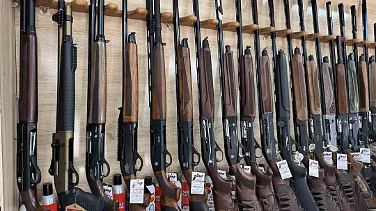 Silahlı suçların yüzde 85'i 'kayıtsız' silahlarla işleniyor