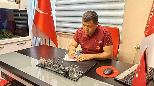 Sineklerle mücadele yönteminizi değiştirin